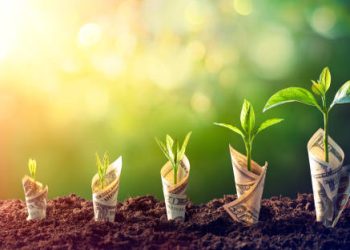Dollar Seedling - Growth Concept - Sprout On Banknotes In Increase